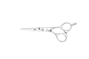 Kasho Design Master Offset Shear