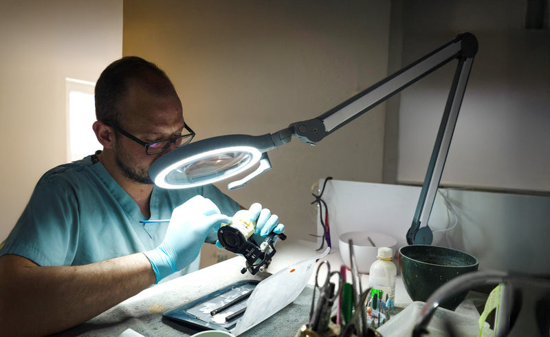 Daylight Professional iQ Magnifier Lamp (U25100)