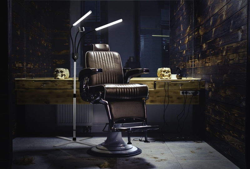 Daylight Premium Gemini LED Portable Floor Lamp with Phone Mount (U35350)