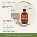 Sunny Isle Rosemary Mint Batana Oil (118ml/4oz)