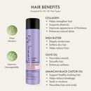 Sunny Isle Curly Girl Friendly Curl Defining Moisturizing Shampoo (298ml/10.1oz)