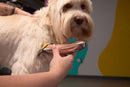 Wahl Professional Motiva2 Cordless Pet Grooming Clipper