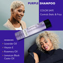 Sunny Isle Color Balance Color Enhancing Purple Shampoo for Blonde, Silver Hair & Highlights (298ml/10.1oz)