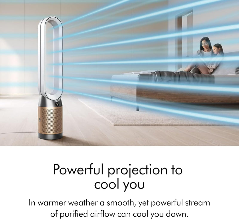 Dyson De-NOx Cool PC2 Purifier