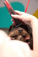 Wahl Bravura 2 Professional Cord/Cordless Pet Clipper (3028120)