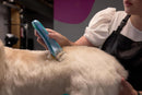 Wahl Professional Motiva2 Cordless Pet Grooming Clipper