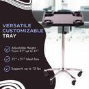 Braids & Freckles Ultimate Magnetic Tray Set