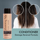 Sunny Isle Pure Chebe Extreme Hydrating Conditioner w/ Jamaican Black Castor Oil (354.88ml/12oz)