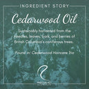 Redavid Cedarwood Weightless Shampoo for Normal-Oily, Fine-Medium Hair