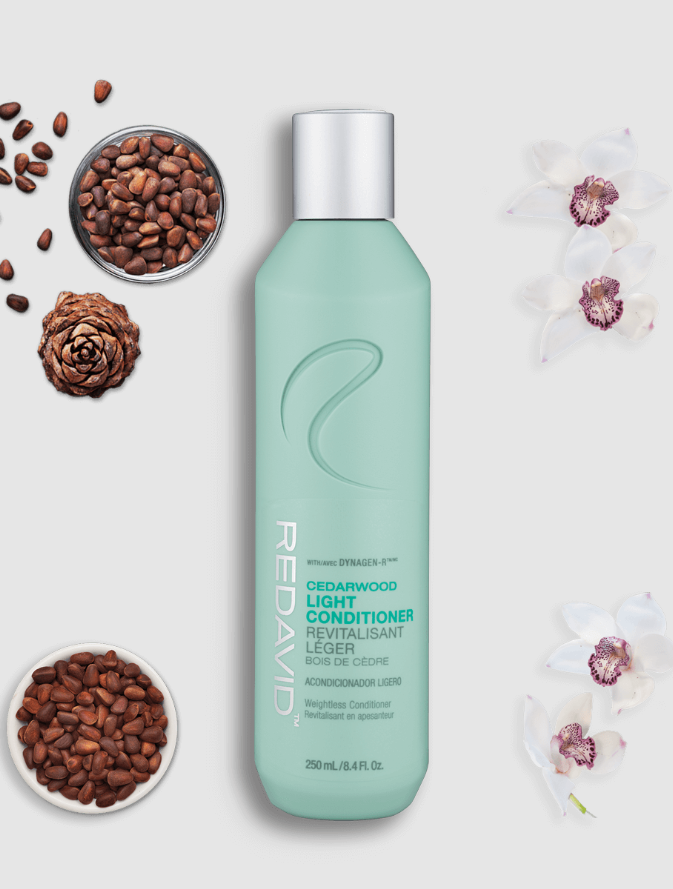 Redavid Cedarwood Light Conditioner for Normal-Oily, Fine-Medium Hair