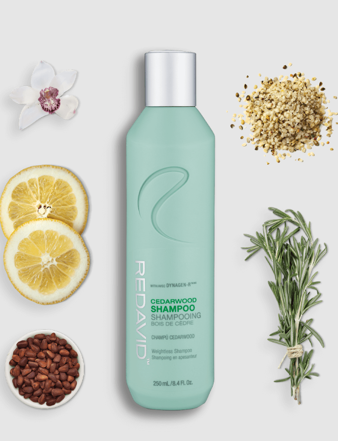 Redavid Cedarwood Weightless Shampoo for Normal-Oily, Fine-Medium Hair