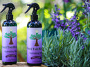 FreeTheRoots Vegan & Cruelty-Free Aloe Hydrating Hair Mist - French Lavender (354.8ml/12oz)