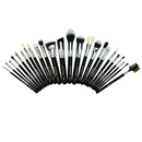 Crown PRO 24pc Brush Set (911)