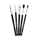 Crown PRO 8pc Neutral Eyes Value Bundle