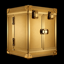 Gold metal collector case with latches, open interior