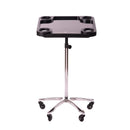 Braids & Freckles Large Magnetic Tray - Chrome