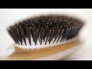 Olivia Garden Divine Brush Collection (DV)