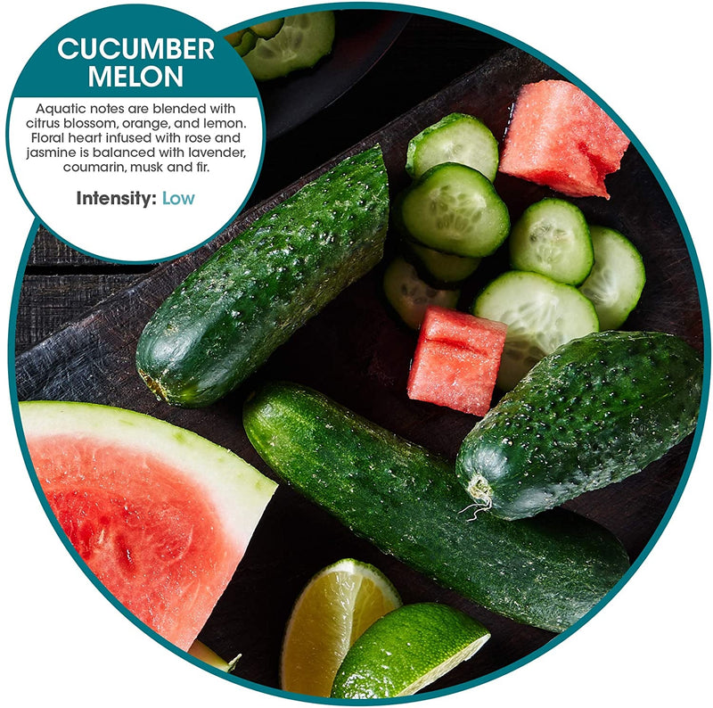 Cucumber Melon Plug in Refill