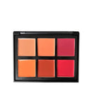 Crown Shimmer Neutral Eyeshadow Palette