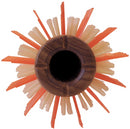 YS Park G-Series Curl Shine Styler Round Brush (66GW0)