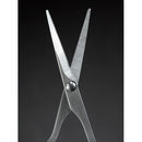 Seki Edge Grooming Scissors (SS-910)