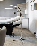 Daylight Premium Gemini LED Floor Lamp with Phone Mount